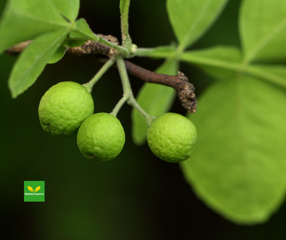 Benefits of Omuboro