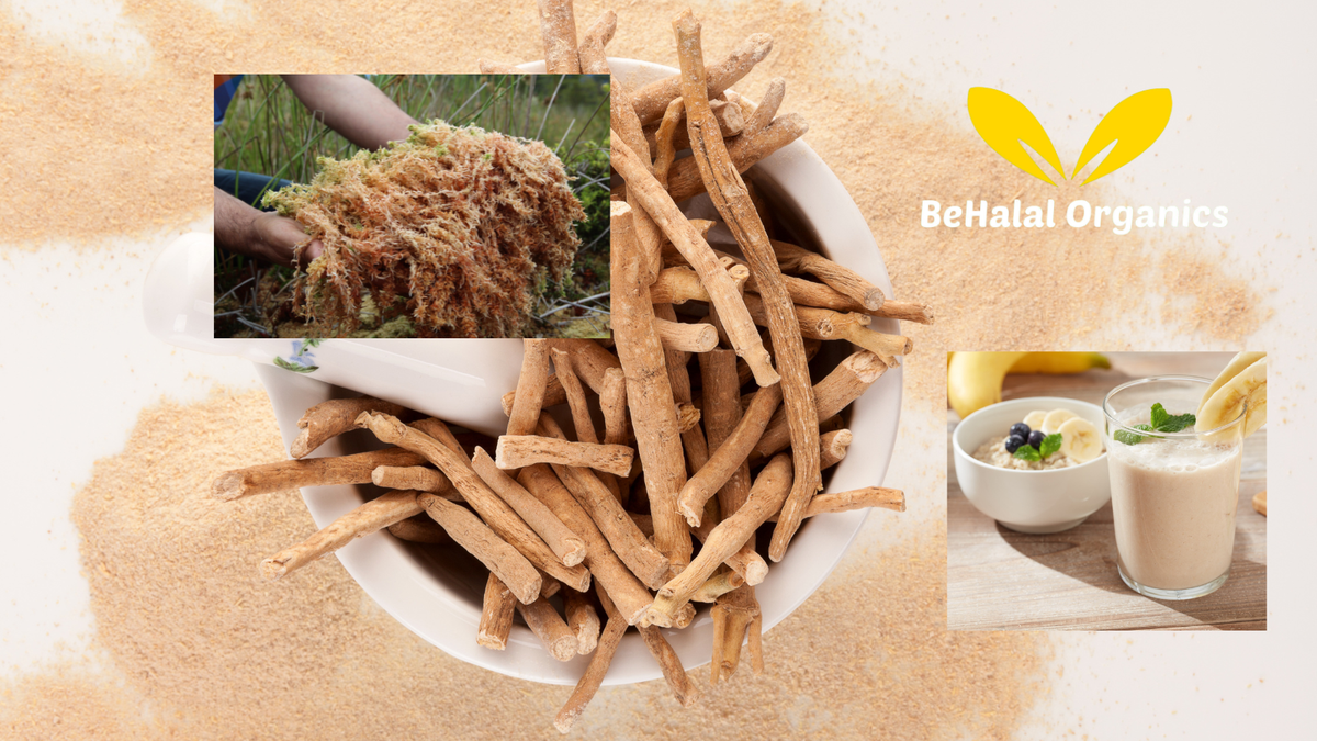 Is Ashwagandha Irish Sea Moss Gel Worth Adding to Your Daily Routine?