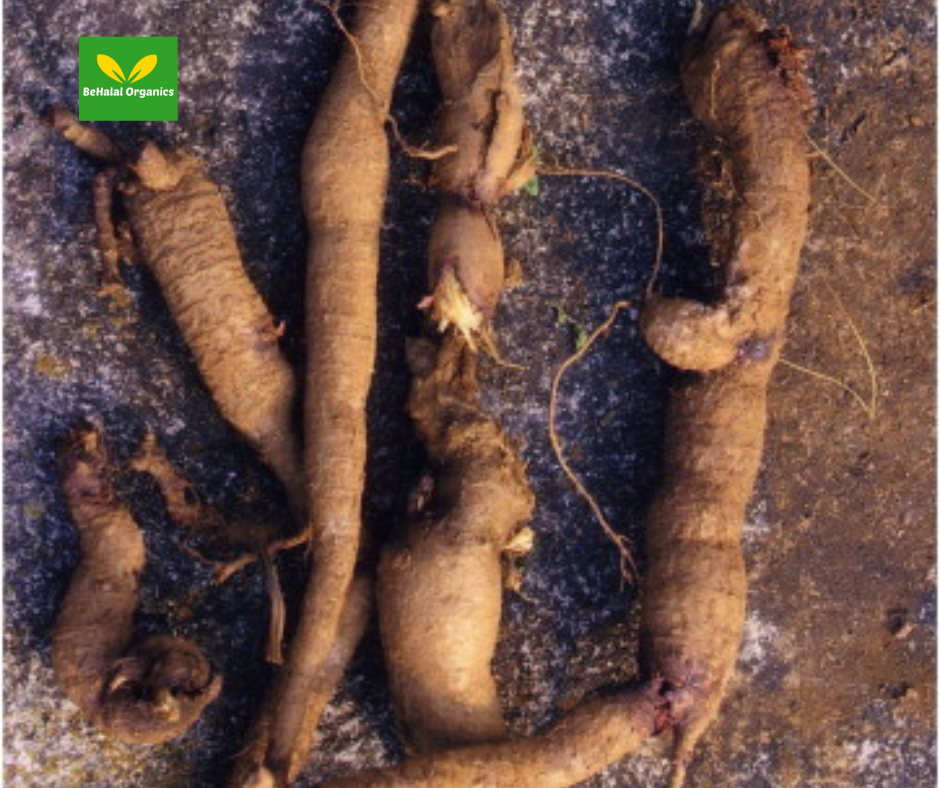 Bangalala: The Natural Way to Enhance Vitality and Wellness