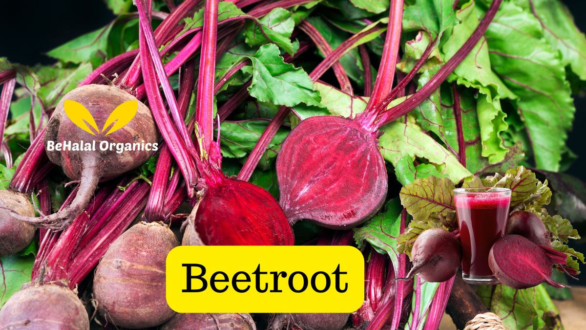 What Happens When You Take Beet Root Sea Moss Gel Every Day?