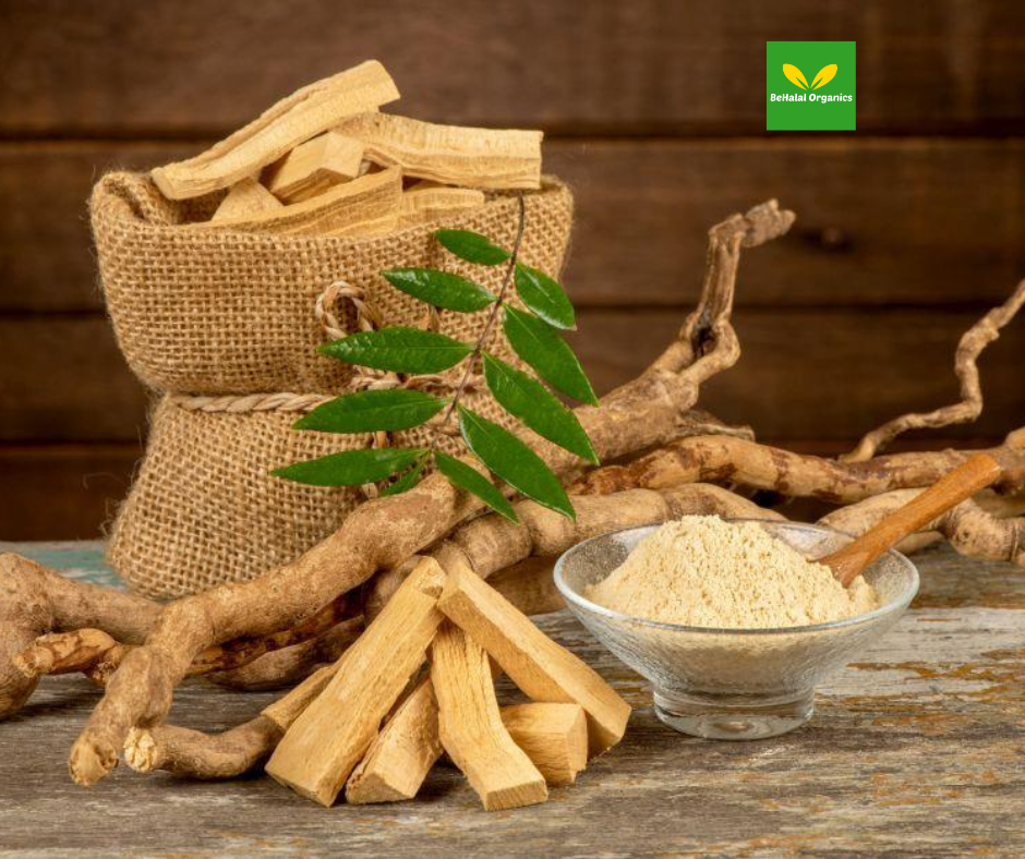 Benefits of Tongkat Ali: Unlocking the Potential of Nature's Miracle Herb
