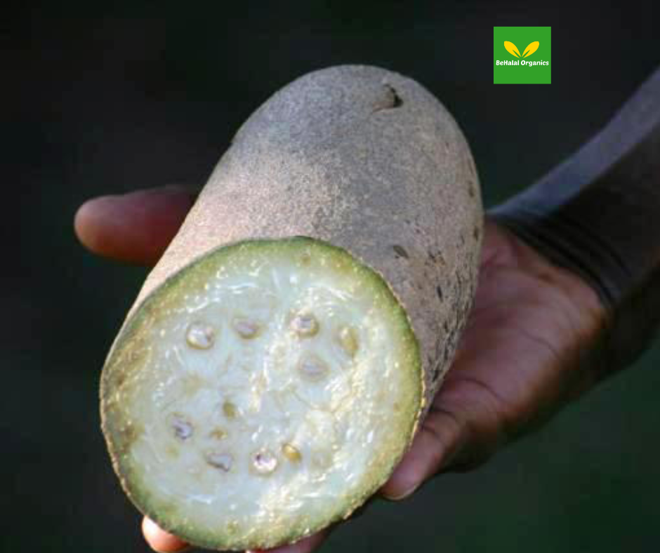 The Health Benefits of Sausage Fruit (Kigelia Africana)