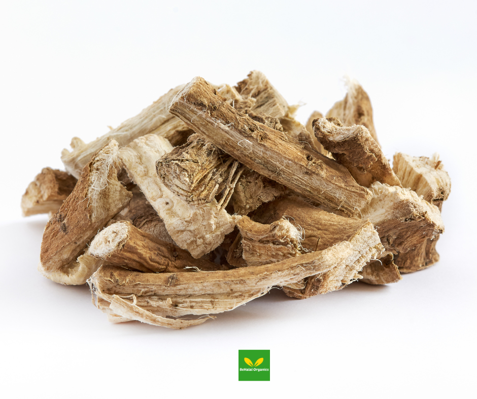 Kushta Root Unique Health Benefits