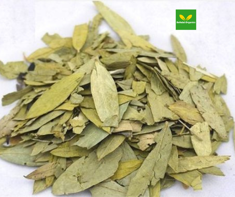 Senna Leaves: Unlocking Their Unique Health Benefits
