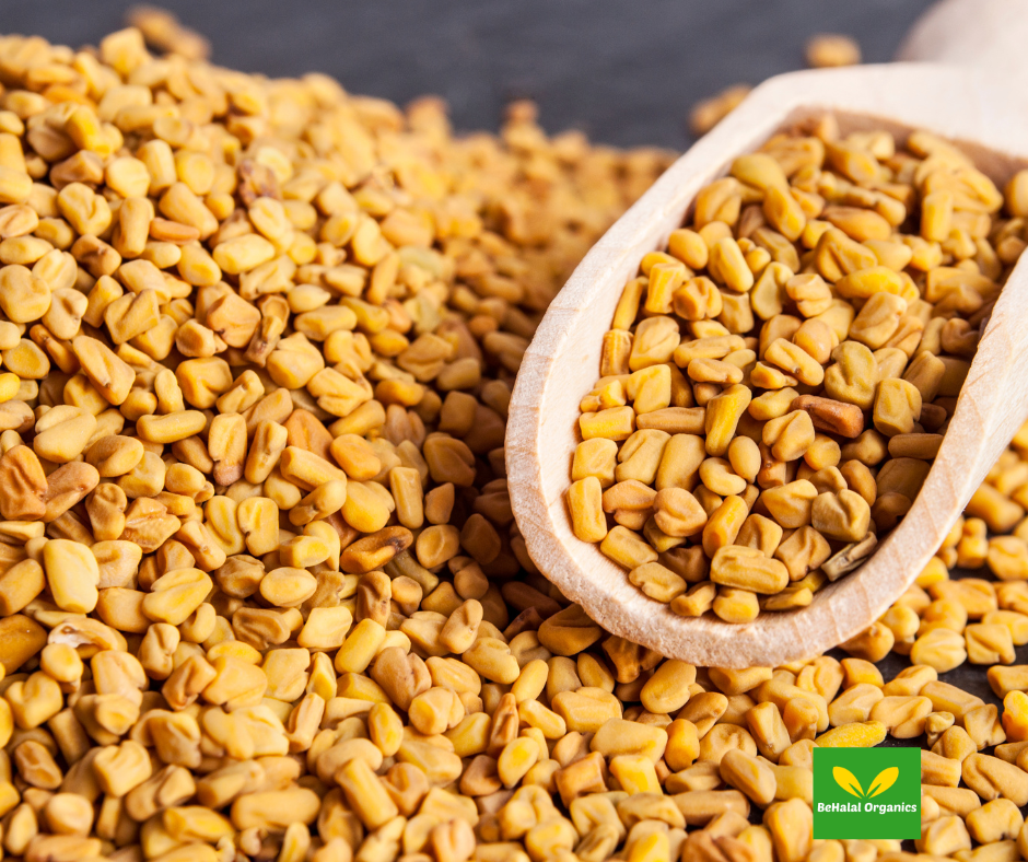 Fenugreek Health Benefits