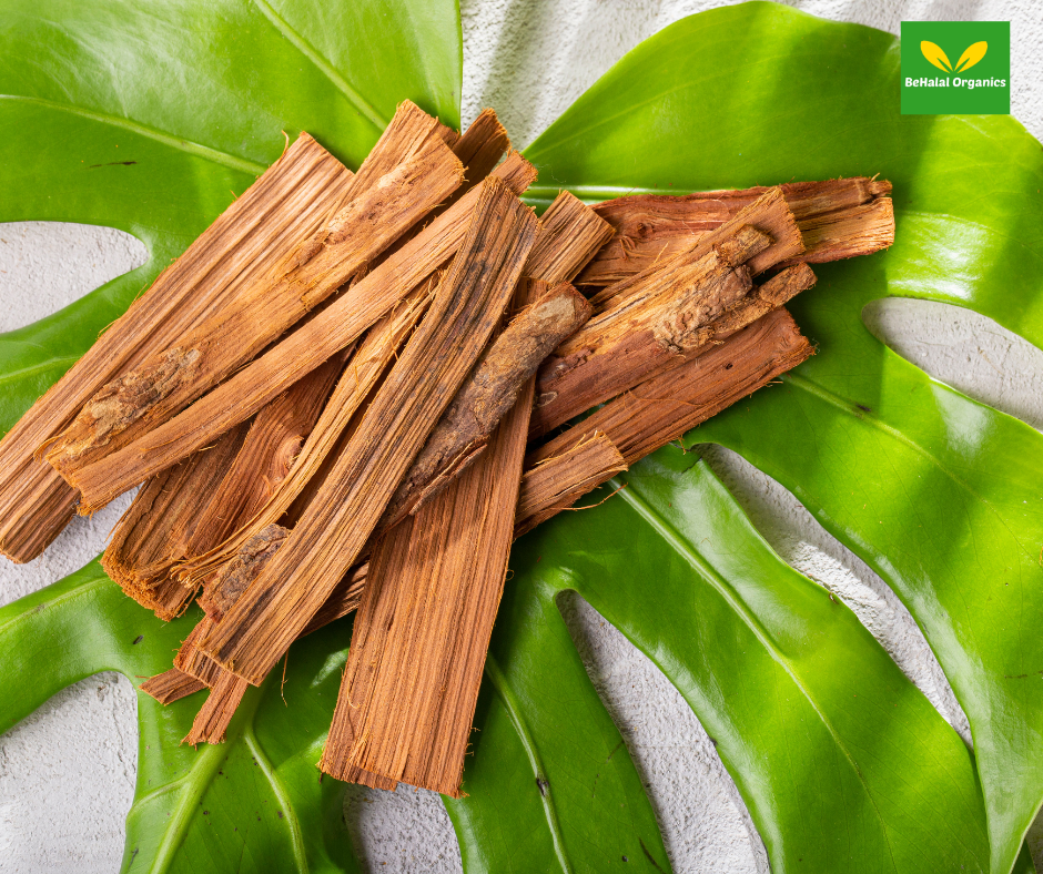 Cat's Claw Health Benefits