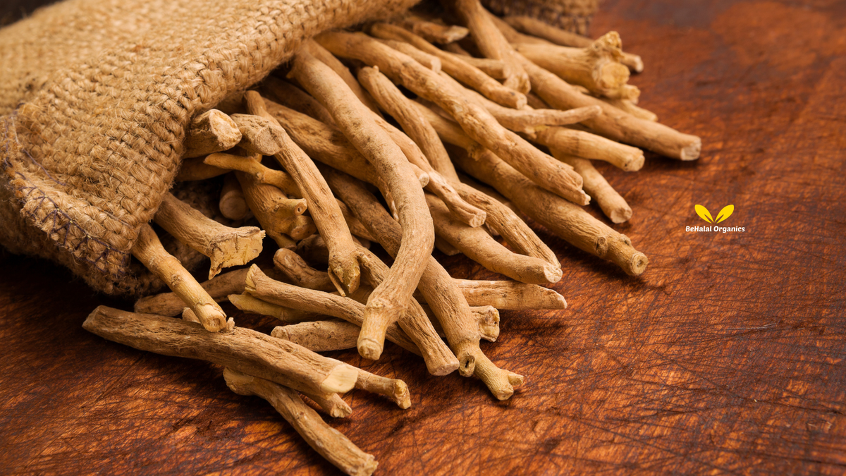 Ashwagandha Benefits for Men: Testosterone, Energy, and Strength