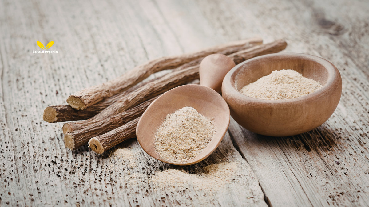 Best Way to Take Burdock Root Powder (Tea, Smoothie, Capsules)
