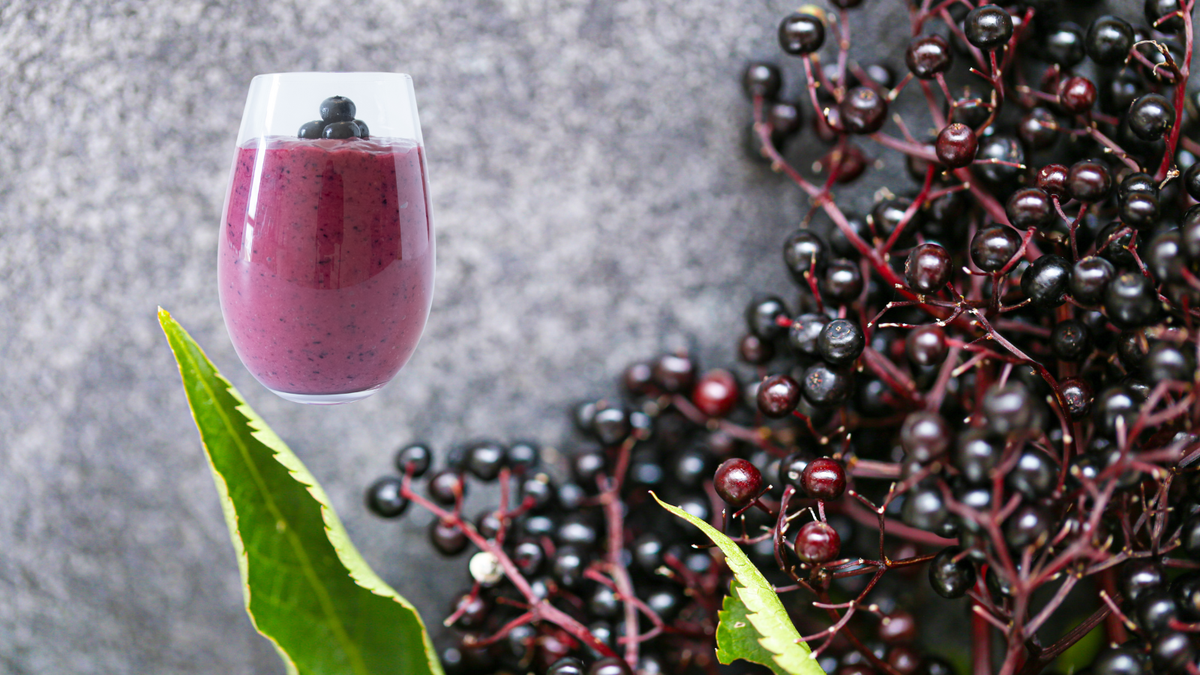 Benefits of Elderberry Sea Moss Powder