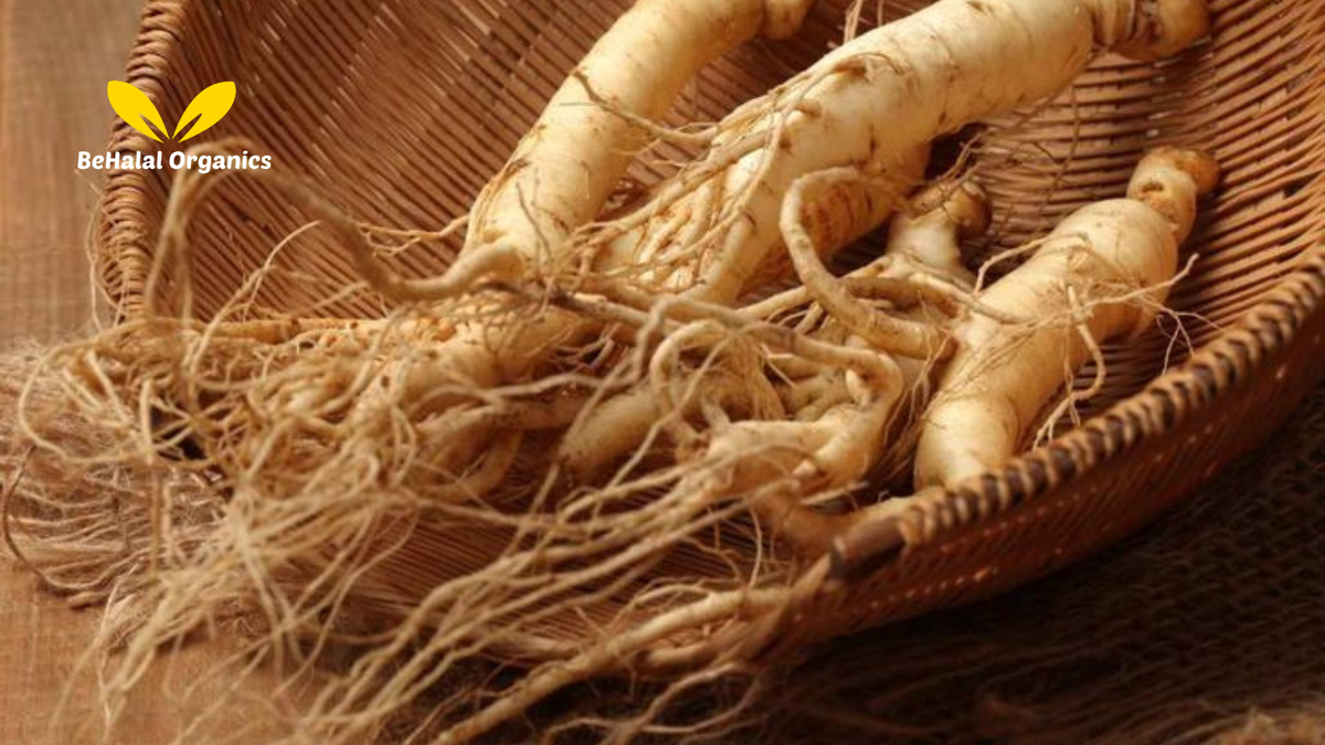 Mulondo Root (Mondia Whitei): The Ultimate Guide to Africa’s Powerful Herbal Aphrodisiac