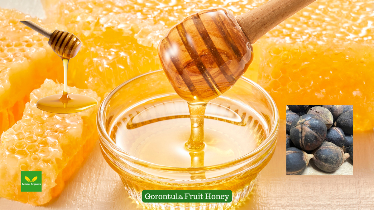 The Antioxidant Power of Gorontula Honey