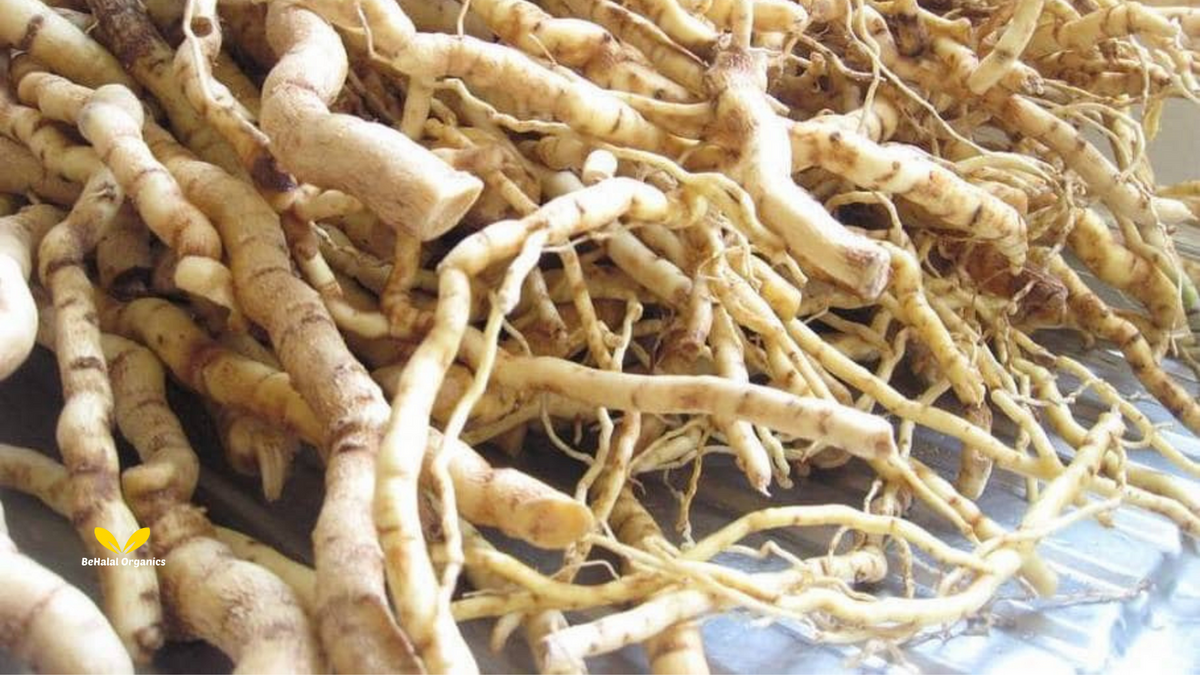 Where to Buy Authentic Mondia & Omusolonga Products Online
