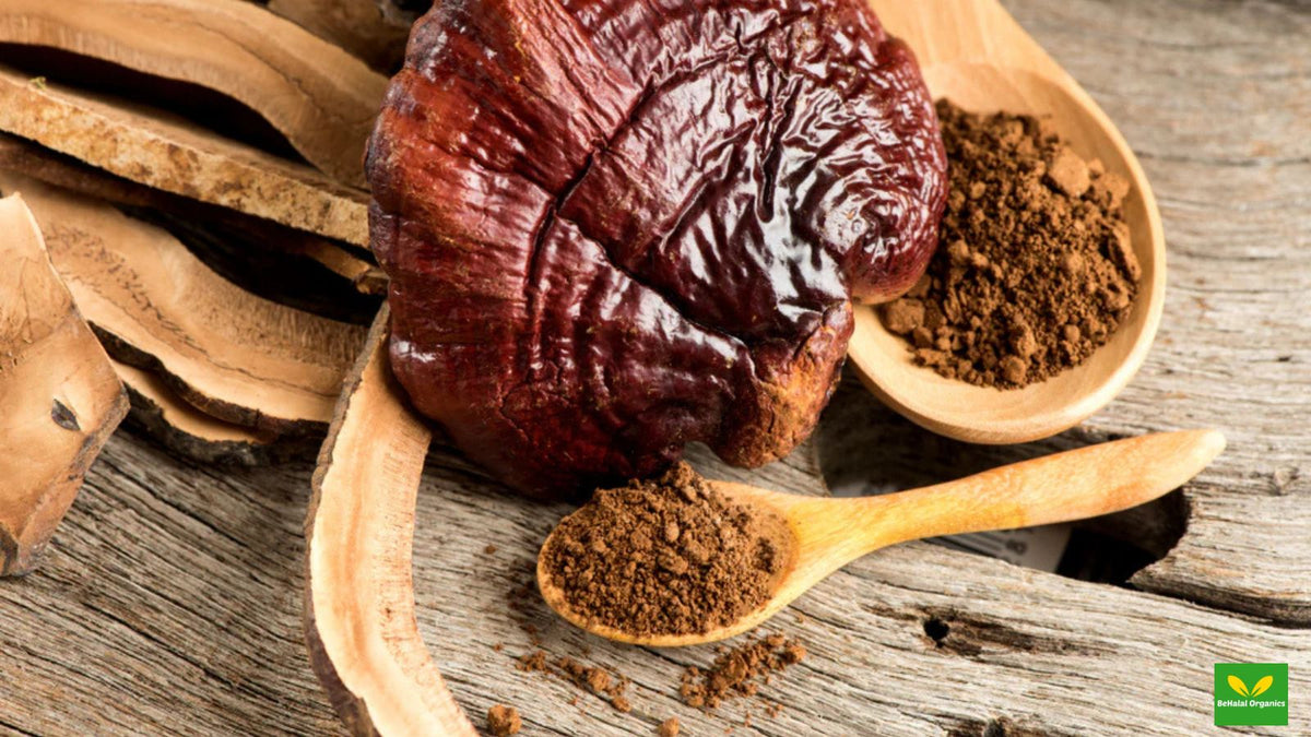Reishi Mushroom: The Ultimate Superfood for Health and Wellness