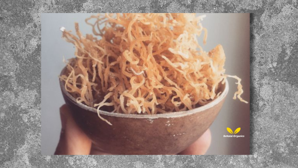 Sea Moss Nutritional Value: Vitamins, Minerals, and Health Benefits