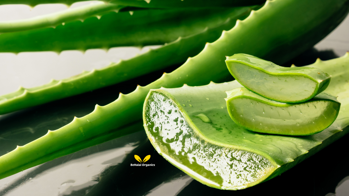 Benefits of Aloe Vera: Uses for Health, Skin, Hair, and Overall Wellness