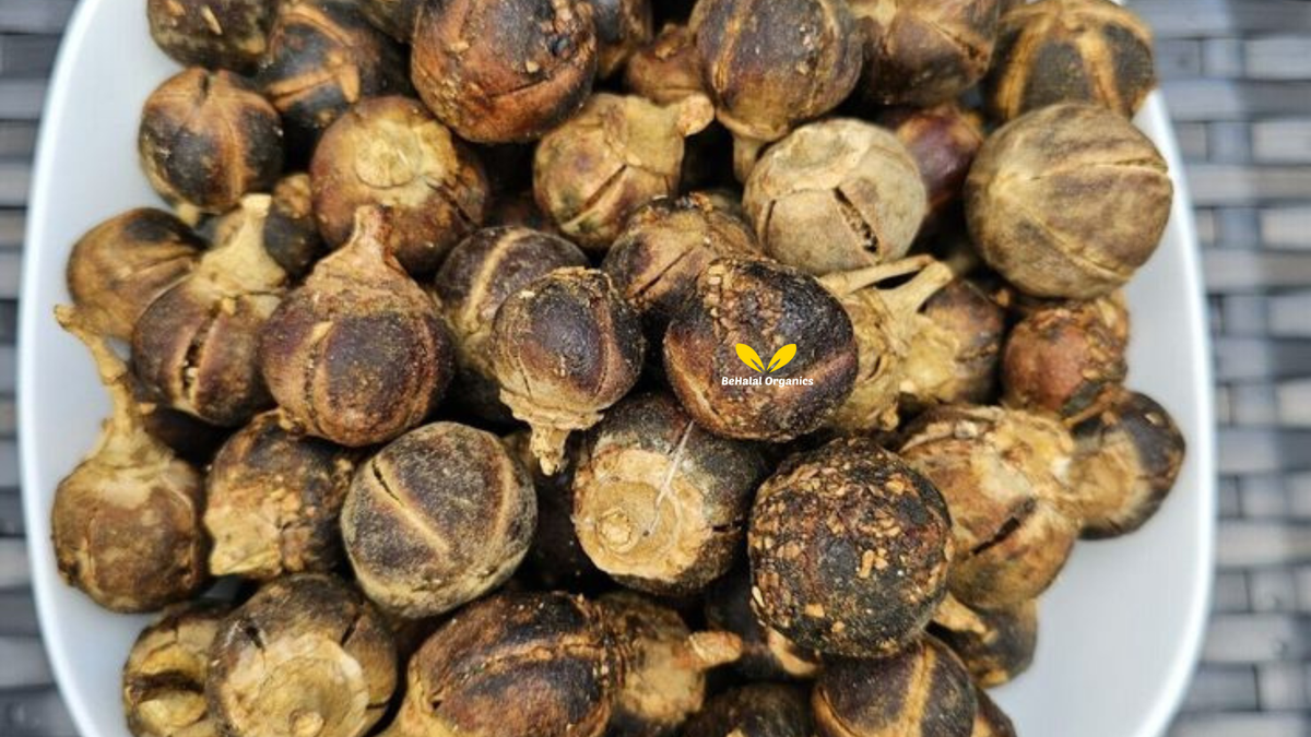 Gorontula (Azanza garckeana): Everything You Need to Know