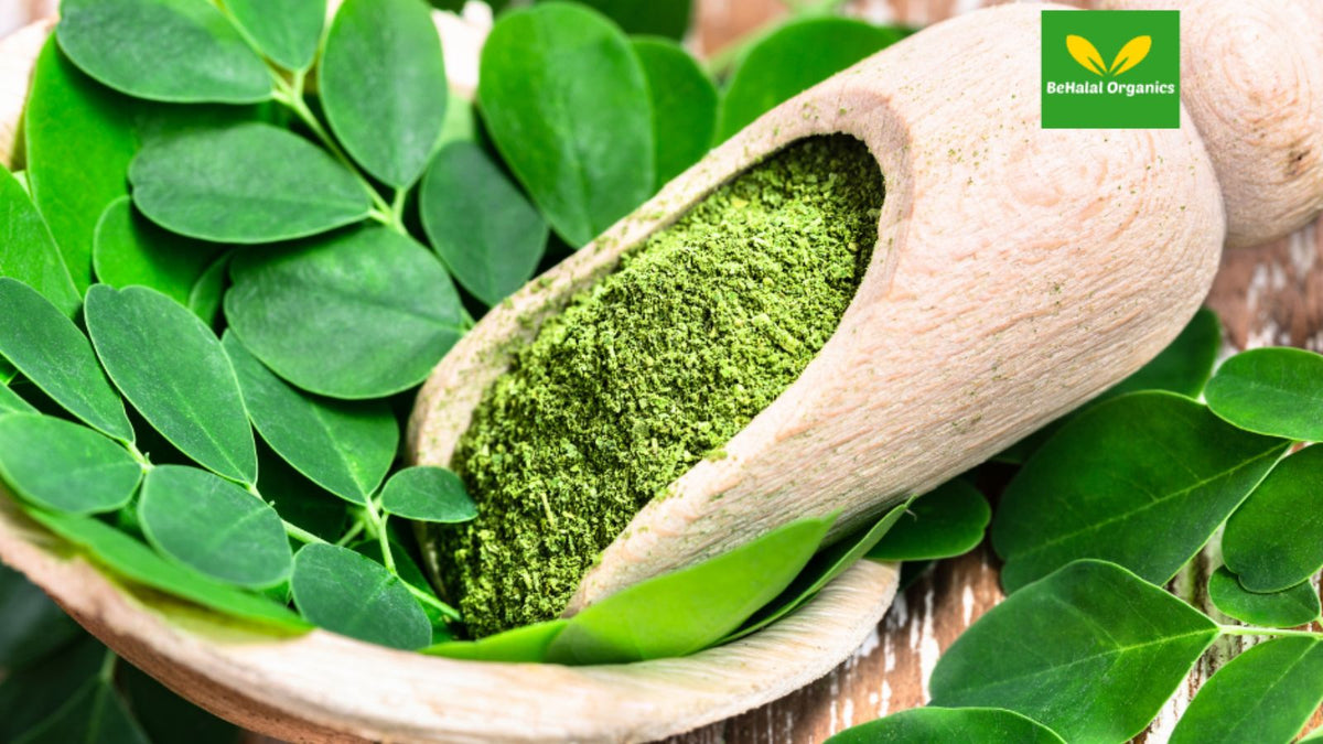 Moringa Oleifera: The Miracle Tree with Countless Health Benefits
