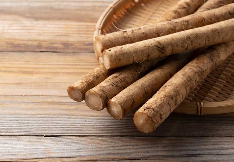 Burdock Root Health Benefits: A Comprehensive Guide