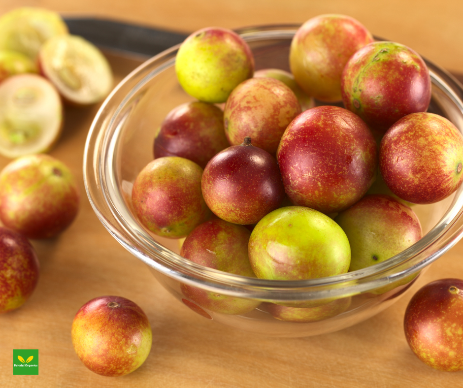 Camu Camu - Potent Superfood Rich in Vitamin C
