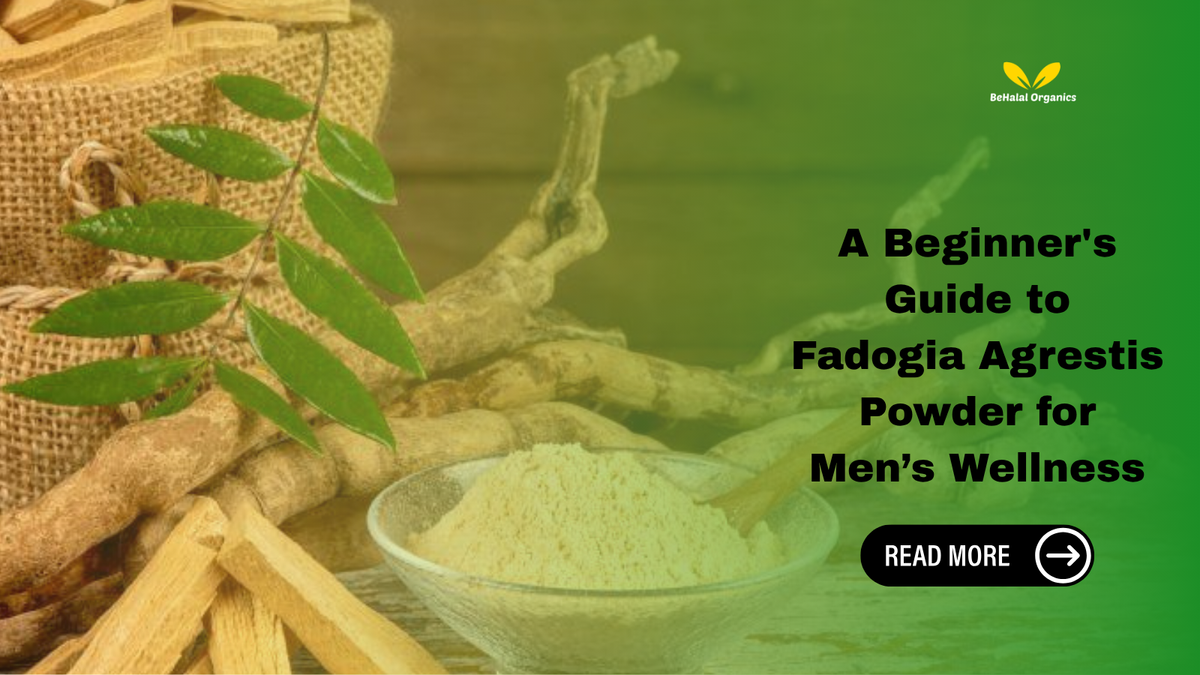 A Beginner's Guide to Fadogia Agrestis Powder for Men’s Wellness