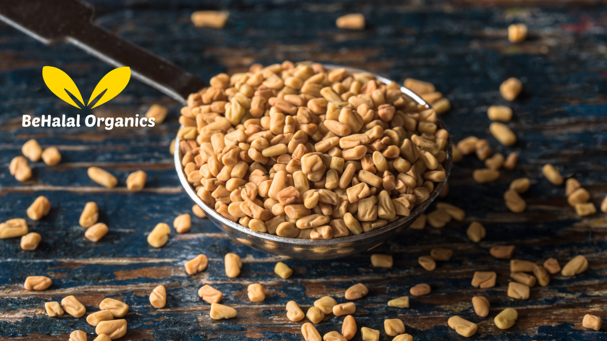 Fenugreek Benefits for Men and Women: Everything You Need to Know