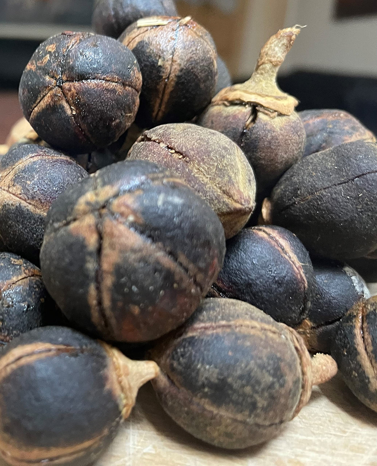 Why You Should Add Gorontula Syrup to Your Daily Immune Routine