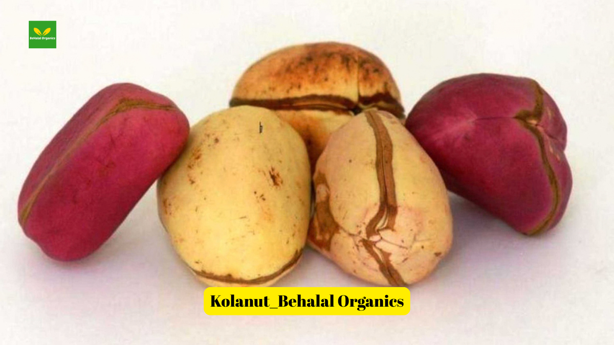 What Are Kola Nut Bitters With Garlic, Ginger, and Moringa?