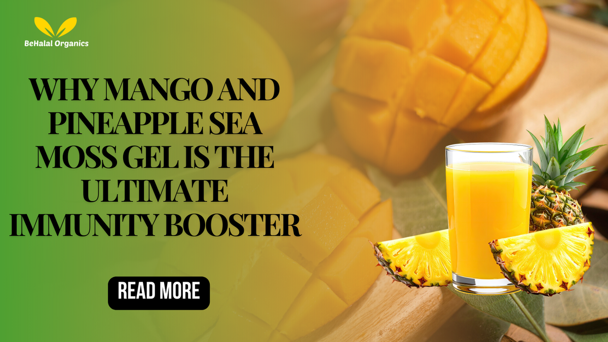 Why Mango and Pineapple Sea Moss Gel Is the Ultimate Immunity Booster