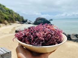 Prenatal Vitamins and Purple Irish Sea Moss: Enhancing Maternal and Fetal Health in Women
