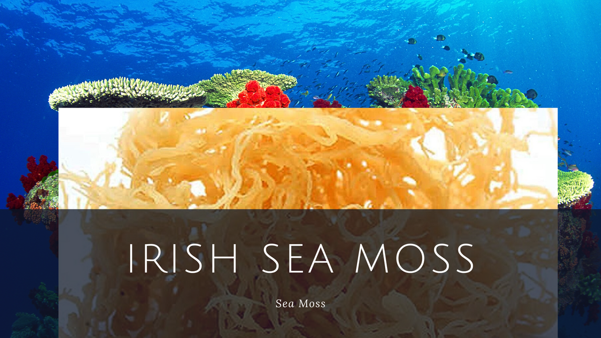 Sea Moss