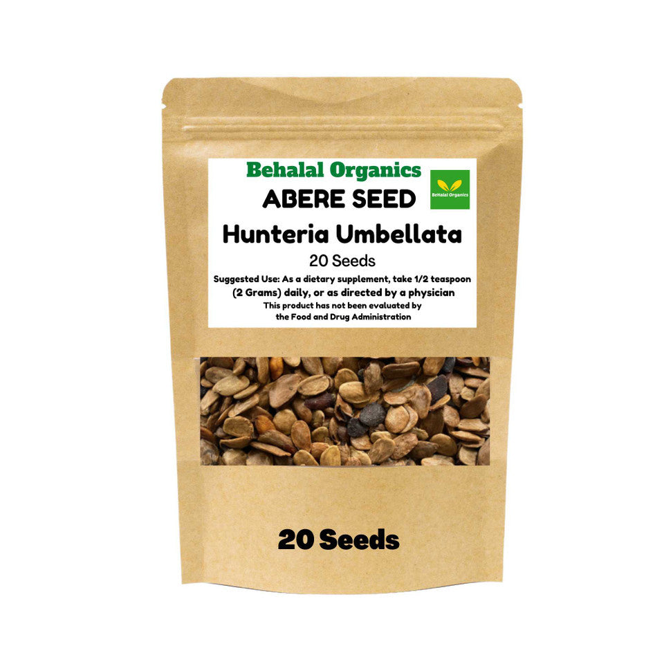 Miracle Seeds Herbal Tincture (Hunteria Umbellata) - 4oz Natural Remedy