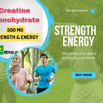 Creatine Monohydrate -500 mg 100 Quick Capsules Behalal Organics
