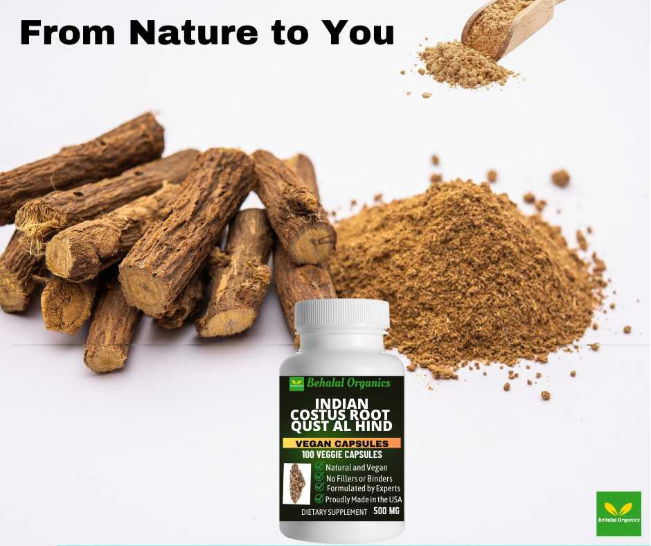 Indian costus qust al hind 100 Quick Release Capsules - 500mg Per Capsule Behalal Organics