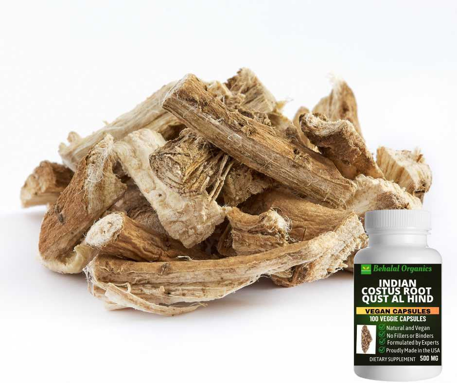 Indian costus qust al hind 100 Quick Release Capsules - 500mg Per Capsule Behalal Organics