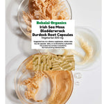 Seamoss, Burdock Root and Bladderwrack