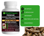 Sausage fruit 100 Quick Release Capsules - 500mg Per Capsule Behalal Organics