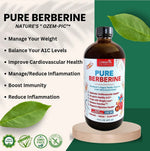PURE BERBERINE Plant-Based Supplement, 16 oz