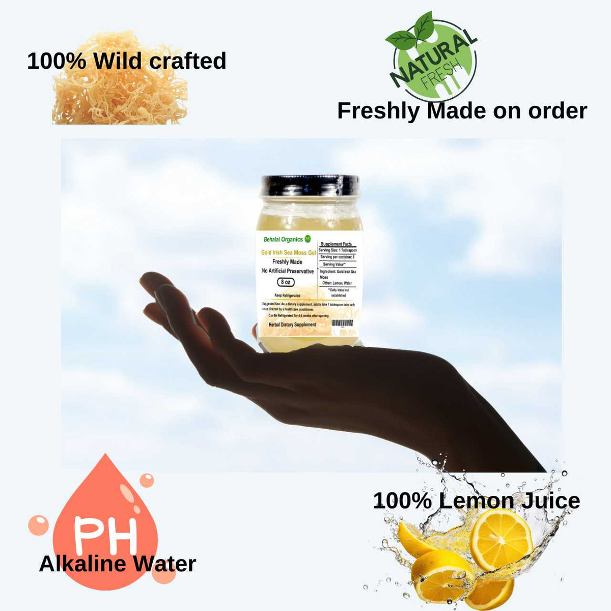 Sea Moss Gel -Wildcrafted Irish Sea Moss Behalal Organics