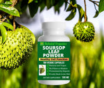 Behalal Organics Naturals Graviola 500mg - 100 Capsules (Soursop / “Hojas de Guanabana”) - Annona Muricata Leaf Powder – Herbal Supplement for Immune Support, Antioxidant, Organic Wellness