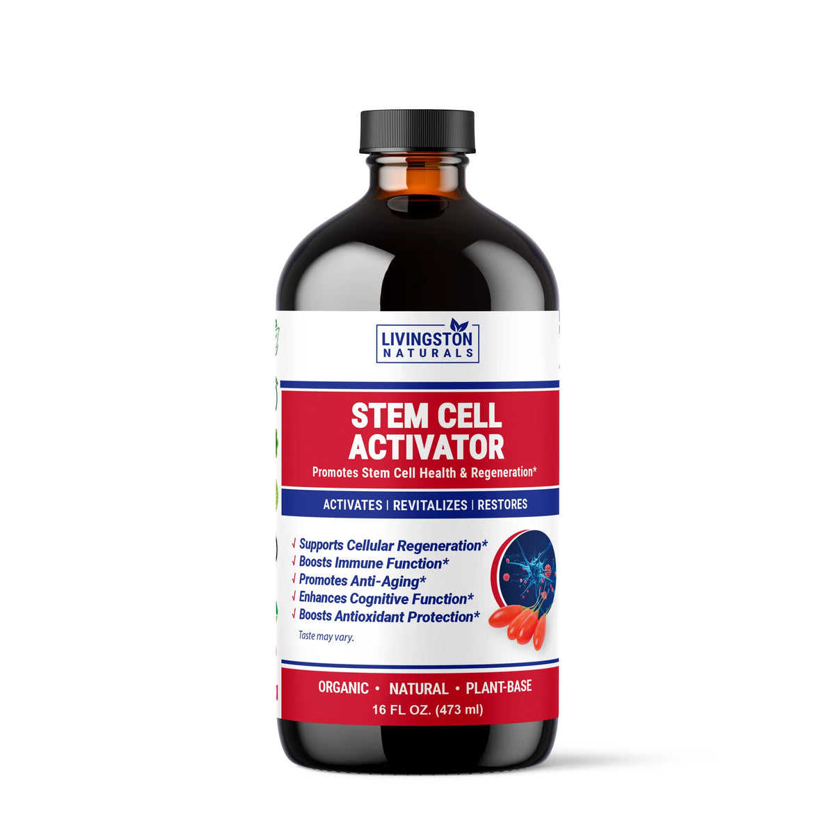 Stem Cell Activator 16 oz – Liquid Herbal Supplement for Cellular Wellness