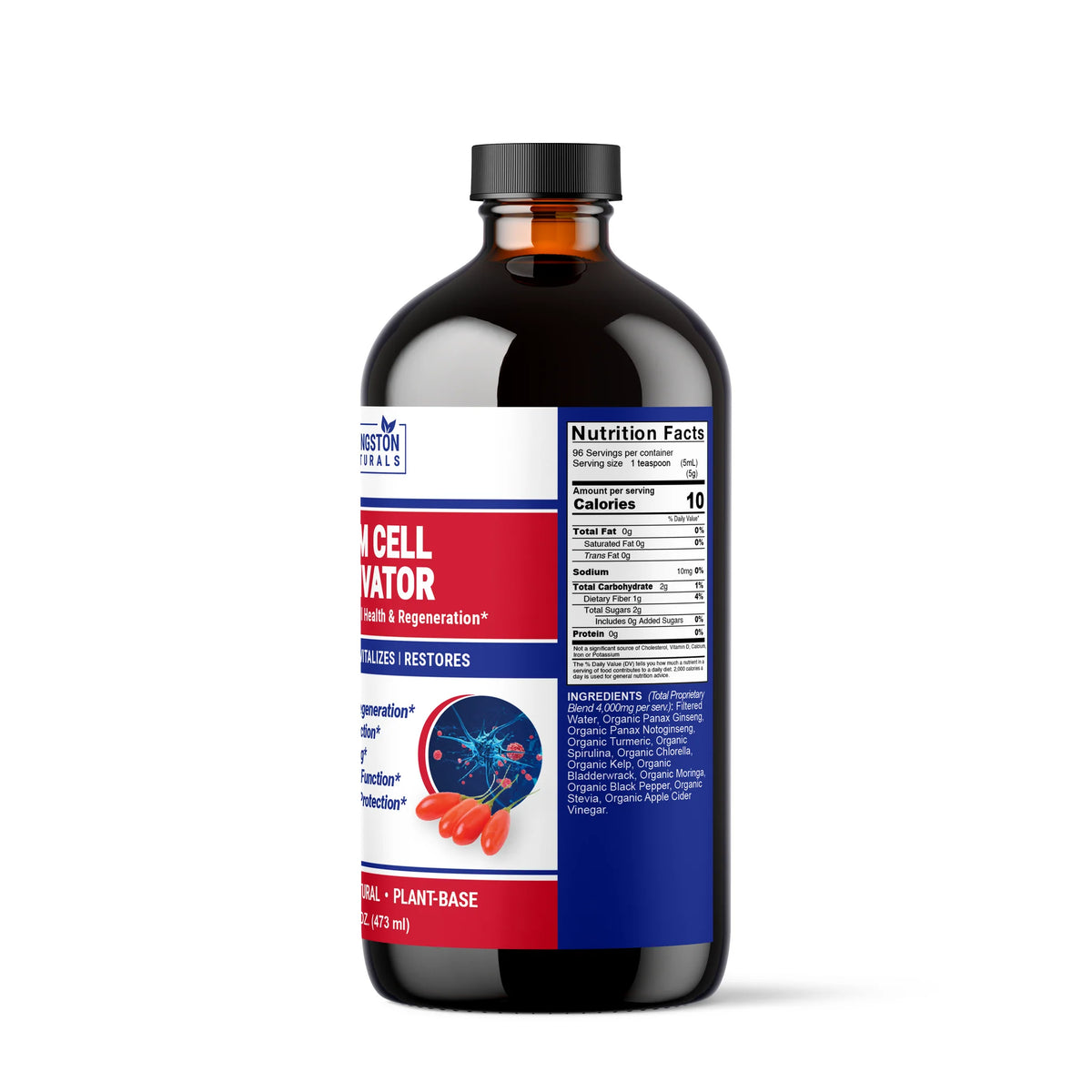 Stem Cell Activator 16 oz – Liquid Herbal Supplement for Cellular Wellness